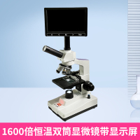 电子光学显微镜,带显示屏