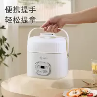 艾青春(AIYOUTH)多功能锅(降糖饭煲+陶瓷电炖盅)AI-G11
