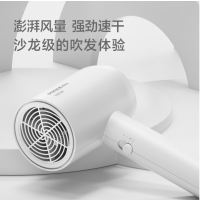 博锐 电吹风机家用大功率吹风筒恒温护发小巧便捷三档冷热风电吹风 简白PH1621