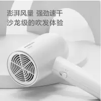 博锐 电吹风机家用大功率吹风筒恒温护发小巧便捷三档冷热风电吹风 简白PH1621