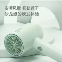 博锐 电吹风机家用吹风筒宿舍用学生便携速干大功率风筒冷热风恒温护发PH1622
