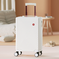 费雪(Fisher-Price)奈斯旅行箱20寸 FP-LX002 (GJKJ)