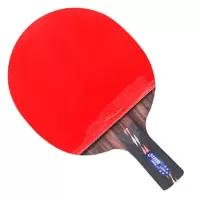 红双喜DHS狂飚五星乒乓球拍直拍碳素单拍双面反胶全能型R5006