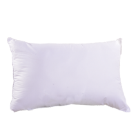 红豆家纺 HDZ-2202(两个)红豆抗菌枕