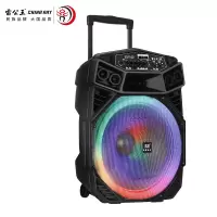 CR-1801拉杆音响自带双话筒 +三角支架