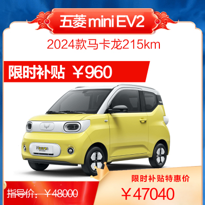 上汽通用五菱 宏光mini EV 2024款马卡龙 120km/170km/215km 纯电动 微型车 新能源汽车