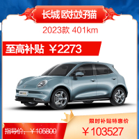 长城欧拉 好猫 2023款 磷酸铁锂 401/501km续航 纯电动 新能源汽车