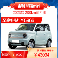 吉利 熊猫mini 2023款200km耐力熊 纯电动 新能源 微型车 汽车