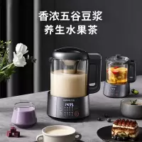 九阳豆浆机破壁无渣快速豆浆 可磨可煮双盖多能家用多功能料理机 太空灰DJ10P-D9801L/1台