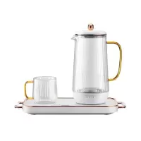 生 活 元 素 (LIFE ELEMENT)多功能养生壶 煮茶器煎药壶电茶壶玻璃烧水壶智能电热水壶 D65 白色