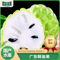 [苏鲜生]顺丰快递 广东释迦果 5斤 单果300g以上 精选释迦果 牛奶释迦番荔枝 佛头果 新鲜热带水果 顺丰