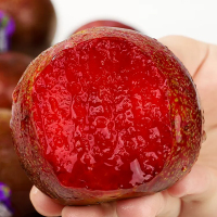 [西沛生鲜]智利进口凤凰李 2斤 珠宝李子当季新鲜红布林整箱血丝李水果樱桃李孕妇