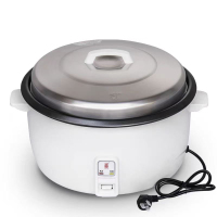 电饭锅 SY-DFG200
