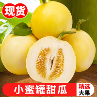 [熊猫鸟]山东新鲜小蜜罐甜瓜 净重3斤装 香甜可口 新鲜水果 爆甜多汁
