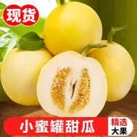 [熊猫鸟]山东新鲜小蜜罐甜瓜 净重4.5斤装 香甜可口 新鲜水果 爆甜多汁