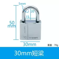 平环 挂锁宿舍小挂锁仿不锈钢挂锁 30mm短梁-通开(1把钥匙)10套装