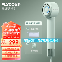 飞科(FLYCO)吹风机家用高速电吹风筒大功率负离子护发大风力速干便携风筒低噪音节日礼物FH6371