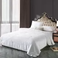 紫韵 ZY-H8107 嫣然御品蚕丝被 200*230cm 白色