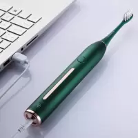 西屋电动牙刷暮光绿 WT-301G L