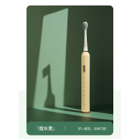 西屋电动牙刷 WT-504Y烟水黄 L
