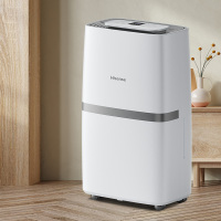 海信除湿机20升 CF20BD/FS