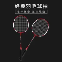何大屋 - 经典羽毛球拍HDW1312