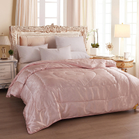 Cmierf kuect蚕香丝守四季被 CK-JF09167 200*230CM