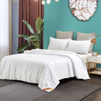 洁丽雅舒适蚕丝被-舒馨-JLYCS001