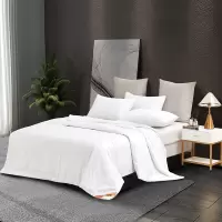 洁丽雅舒适蚕丝被-恬馨-JLYCS002
