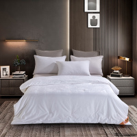 洁丽雅至尊蚕丝被-暖馨-JLYCS003