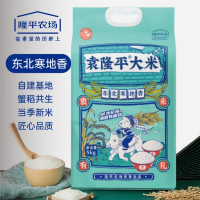 袁隆平大米东北寒地香5kg