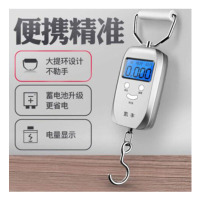 凯丰 迷你手提电子秤50kg便携式高精度家用 豪华银充电款