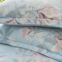 多喜爱 被套 :203*229cm 床单 :230*245cm 枕套*2:48*74cm 多喜爱-牛奶绒四件套 浅韵