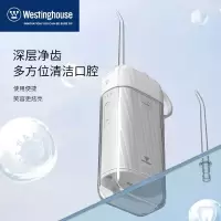 冲牙器