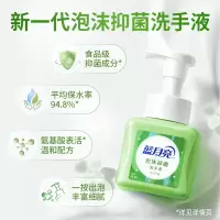 蓝月亮芦荟泡沫抑菌洗手液 长效抑菌 温和护手 绵密泡沫255ml