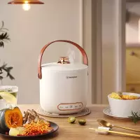 西屋Westinghouse-多功能电饭煲(WFB01)-