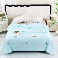 懿缦 薄荷凉感亲肤蚕丝被