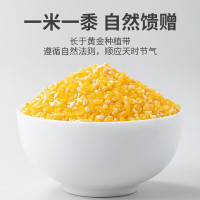[方家铺子]有机玉米糁450g/米砖
