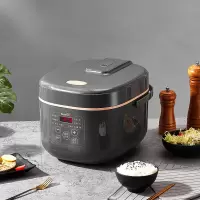 新飞Frestec电饭煲FTFB-R123