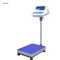 电子天平300g-XY