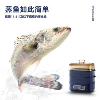 西屋电蒸锅(WZL121)-