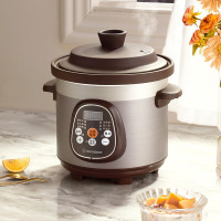西屋微电脑电炖锅(WDZ305)-
