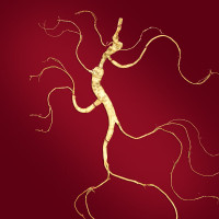 长白山人参野山参A1一等 约20年/8-11g/盒