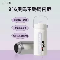 GE-DS23AW-B33
