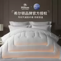 康尔馨 希尔顿Houston1964锁温纤维春秋被芯