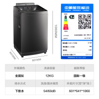 东芝(TOSHIBA)波轮洗衣机全自动12公斤大容量 UFB超微泡 不弯腰设计 变频电机DB-12T16DT
