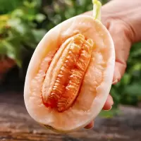 [熊猫鸟]新鲜阎良甜瓜白皮红肉 净重2.5斤装 1-2个装 香甜可口 新鲜水果 爆甜多汁