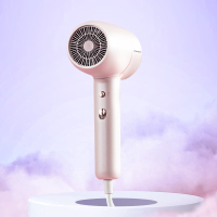 西屋 电吹风H103