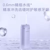 飞科(FLYCO)电动冲牙器FP7800极光紫