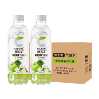 燃力士 气泡水480ML*6瓶/箱(青苹果茉莉)